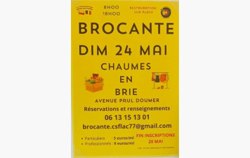 Brocante Chaumes 2026