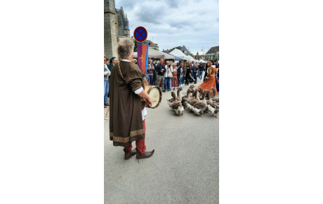 Fête Médiévale Fontenay-Trésigny