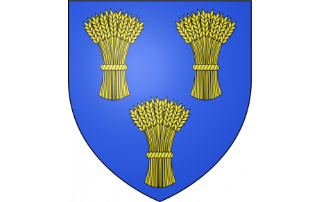 Vœux du Maire Chaumes-en-Brie